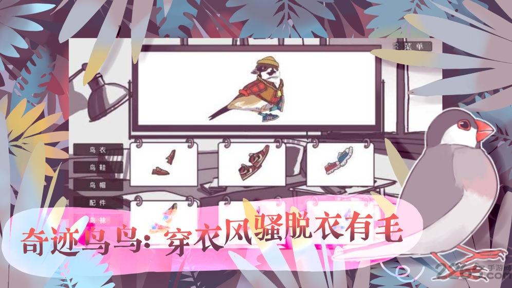 文鸟恋爱物语游戏下载,文鸟恋爱物语,恋爱游戏,物语游戏