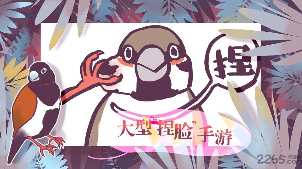 文鸟恋爱物语游戏下载,文鸟恋爱物语,恋爱游戏,物语游戏